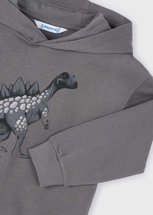 Bluza z kapturem szara